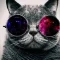 Avatar photo