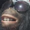 Avatar photo
